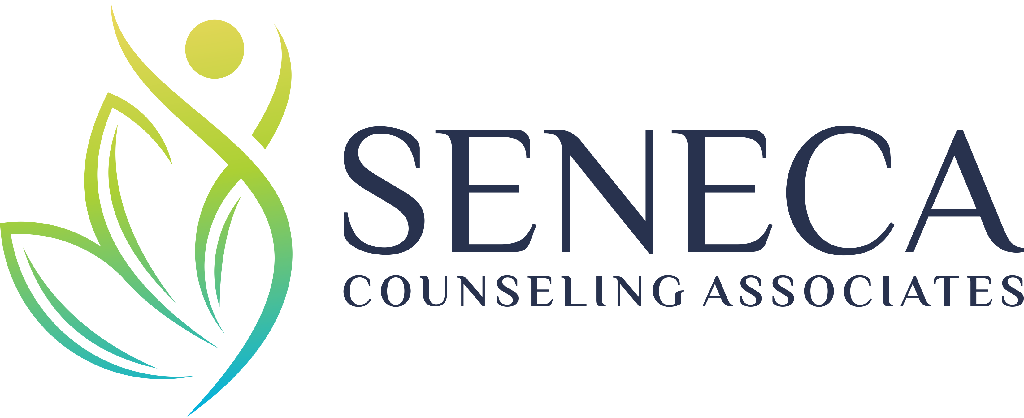 Seneca Counseling Associates